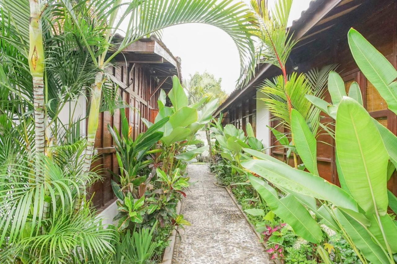 Surfer Paradise Villas Canggu Exterior foto